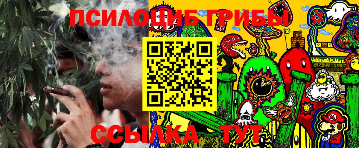 Псилоцибиновые грибы GOLDEN TEACHER Белая Калитва