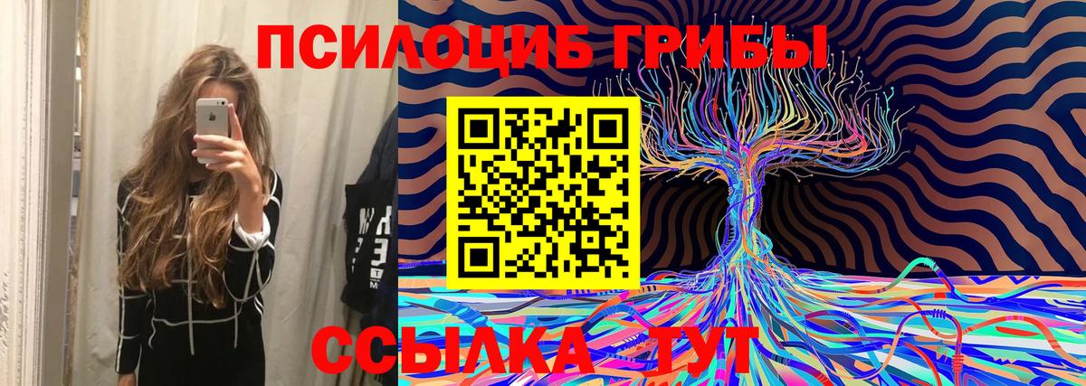 Белая Калитва  Галлюциногенные грибы Psilocybe  купить наркоту  Вход с VPN 